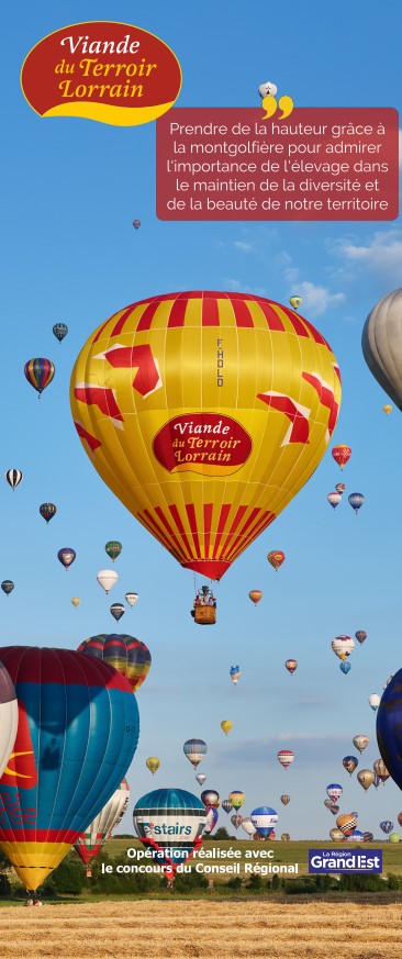 Montgolfière Viande du Terroir Lorrain au premier plan avec de nombreuses autres montgolfière en arrière plan